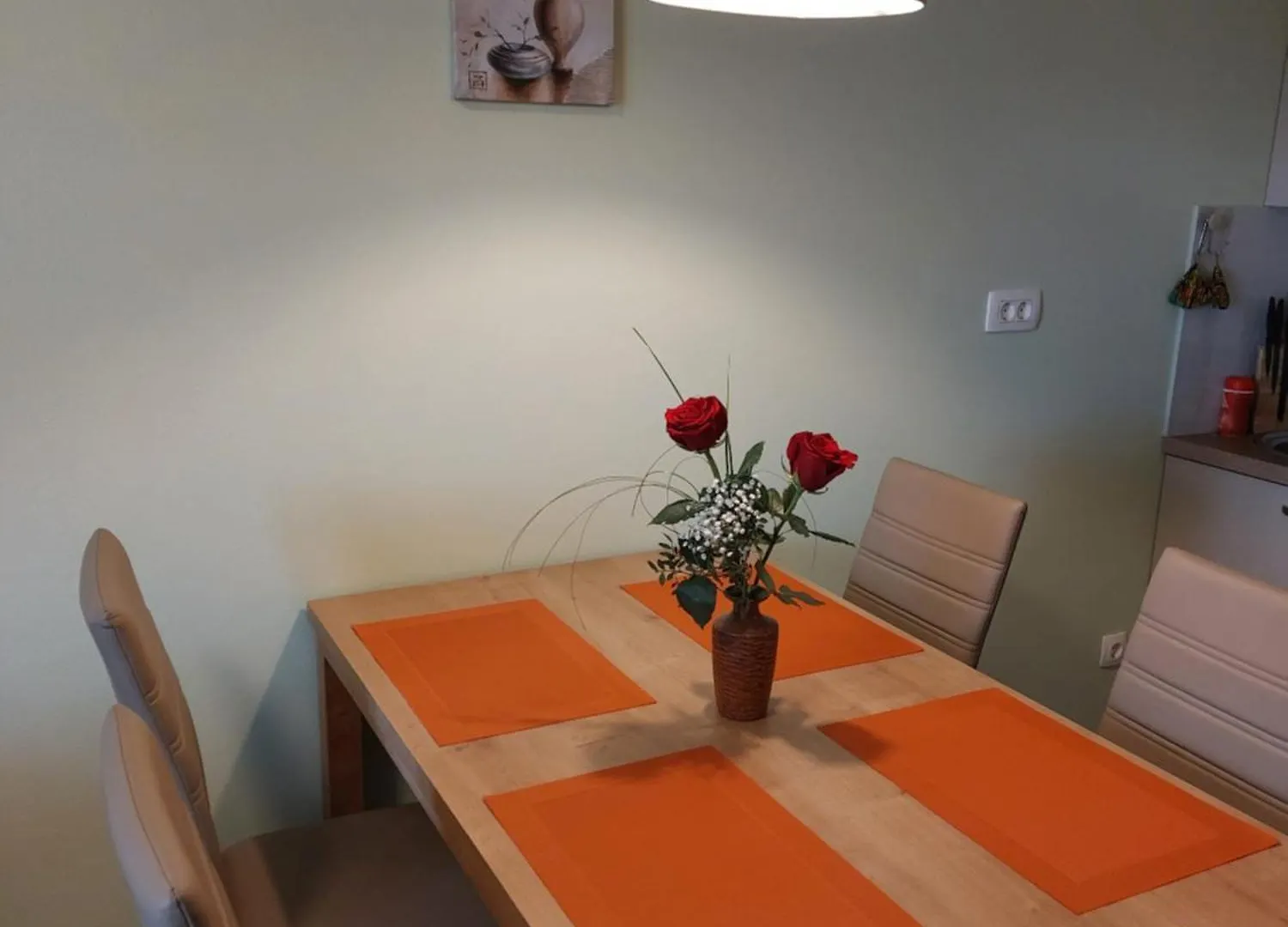 Apartma Nana 诺维·维诺多尔斯基